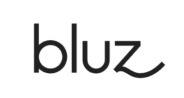 Logo Bluz